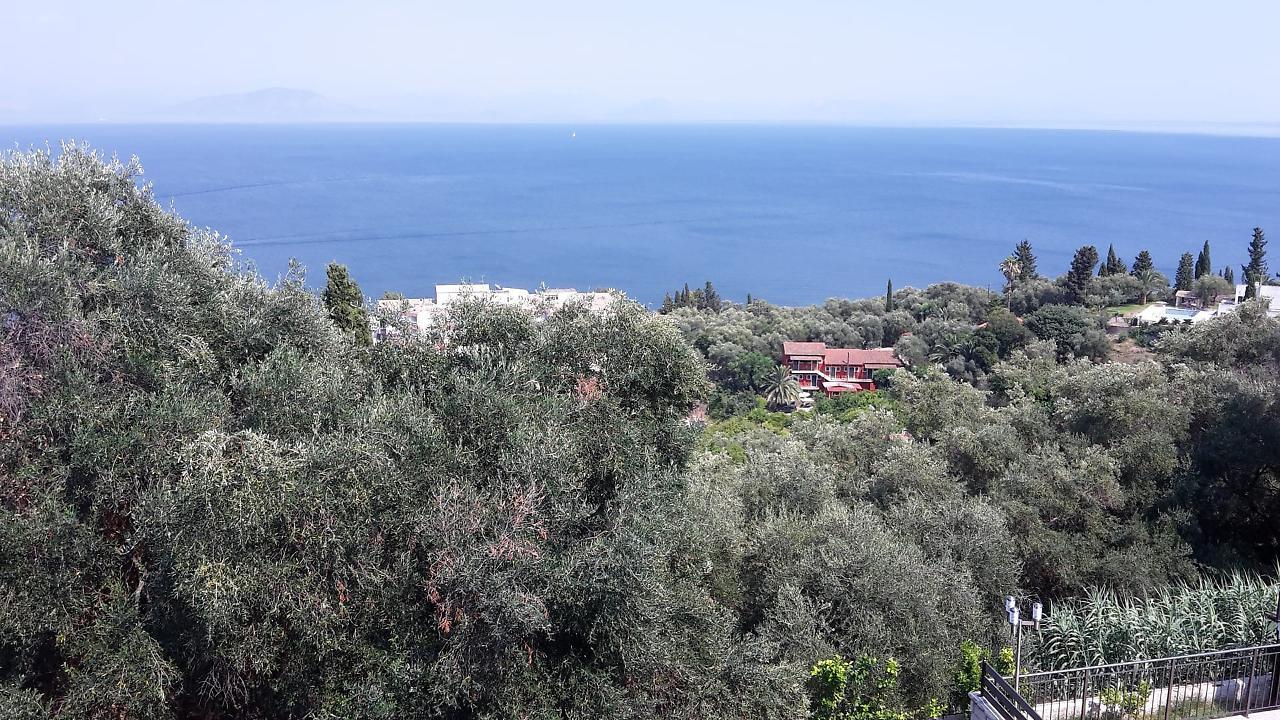 Achillion Luxury Corfu Villa & Suites 페라마 외부 사진